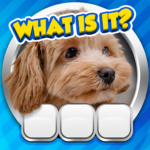 Guess it! Zoom Pic Trivia Game (MOD, Unlimited Money) 1.39.1