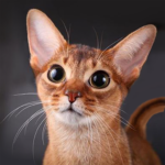 Talking Abyssinian Cat (MOD, Unlimited Money) 1.1.7